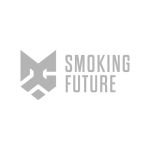 DC - SMOKING FUTURE | E-Zigaretten & Einweg E-Shishas