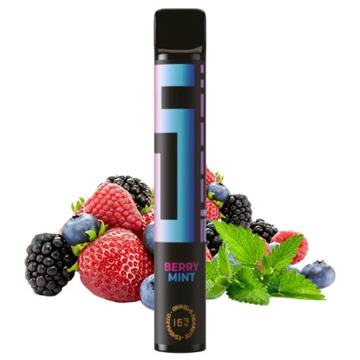 5 EL - Einweg E-Shisha E-Zigarette ohne Nikotin - Berry Mint