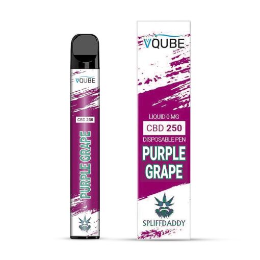VQUBE Spliffdaddy CBD - Einweg E-Shisha ohne Nikotin - Purple Grape