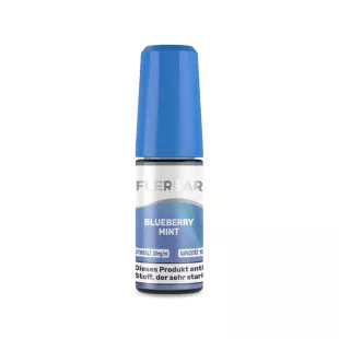 Flerbar Liquid E-Zigarette 10ml - Blueberry Mint - 20mg