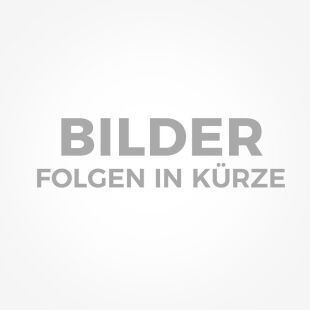 Brodator - EdelstahlShisha 320 Mini REPTILE - Klar